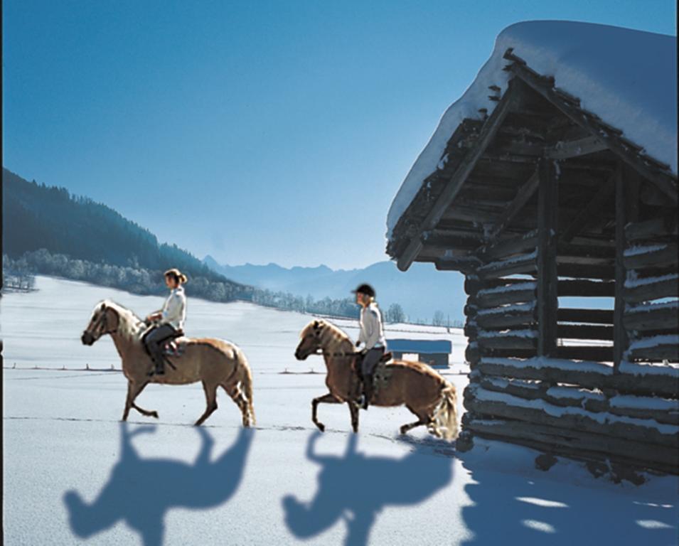 Hotel Schoerhof Saalfelden Екстер'єр фото