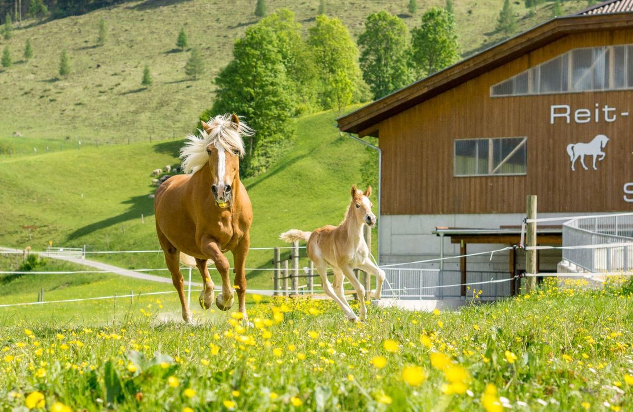 Hotel Schoerhof Saalfelden Екстер'єр фото